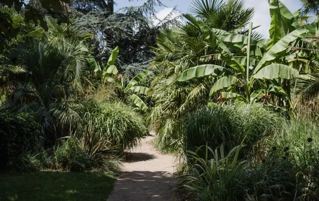 jardin des plantes orleans pause verte plein centre ville 3