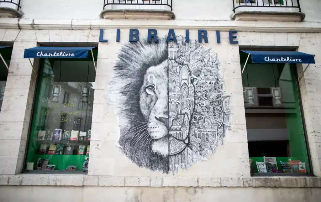 murs orleans street art 2