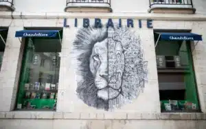 murs orleans street art 2