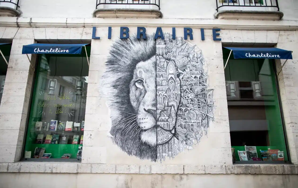 murs orleans street art 2