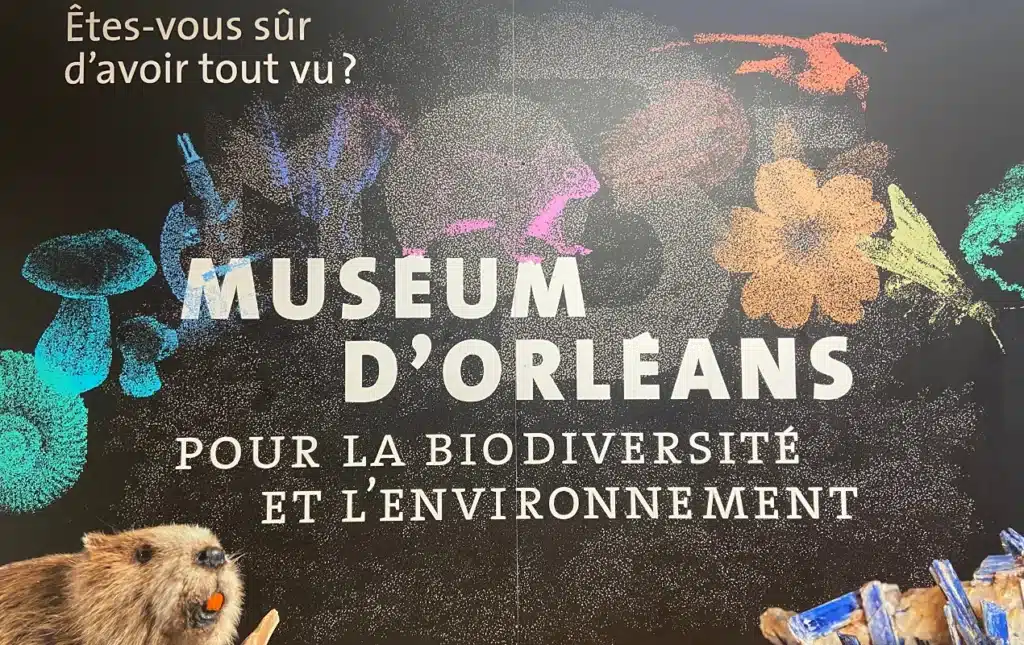 visiter orleans enfants activites a faire en famille 1