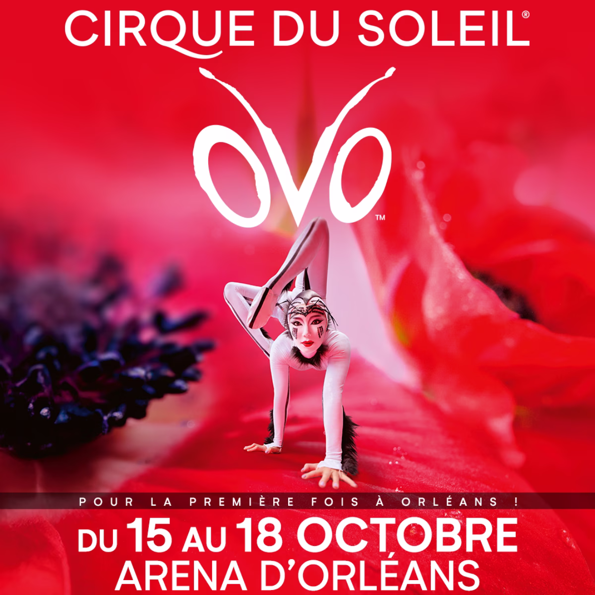 cirque du soleil 2026